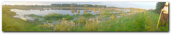 A view of some of the fenland at Bank Farm